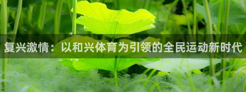 复兴激情：以和兴体育为引领的全民运动新时代