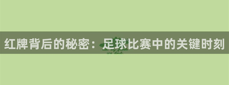 红牌背后的秘密：足球比赛中的关键时刻