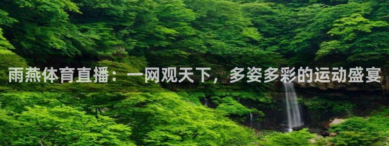 雨燕体育直播：一网观天下，多姿多彩的运动盛宴
