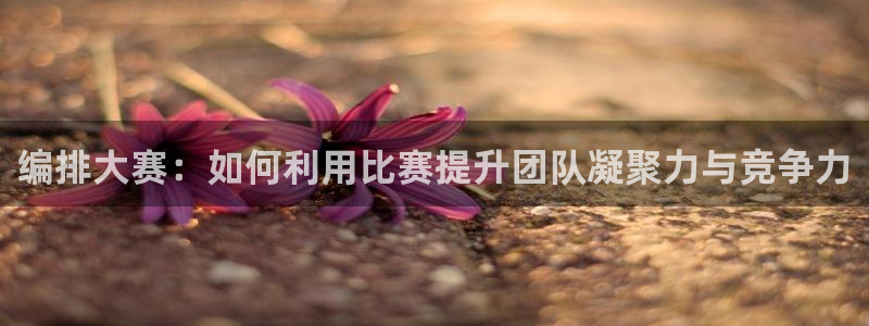编排大赛：如何利用比赛提升团队凝聚力与竞争力