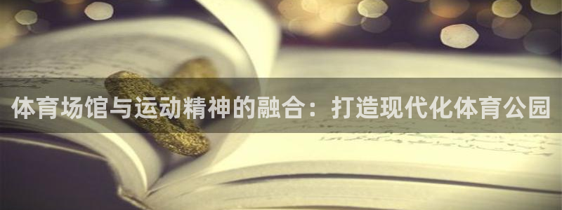 体育场馆与运动精神的融合：打造现代化体育公园