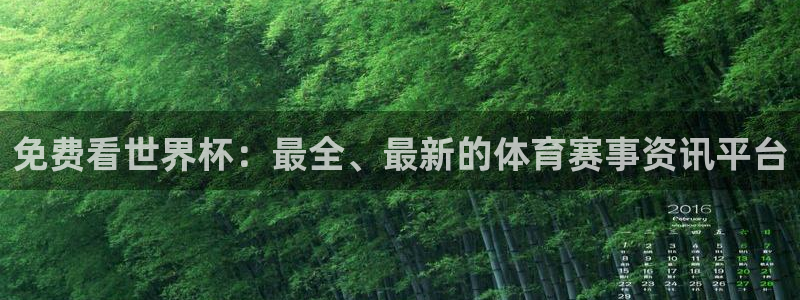 免费看世界杯：最全、最新的体育赛事资讯平台