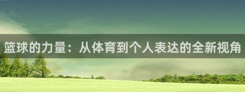 篮球的力量：从体育到个人表达的全新视角