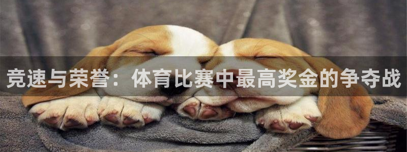 杏悦平台