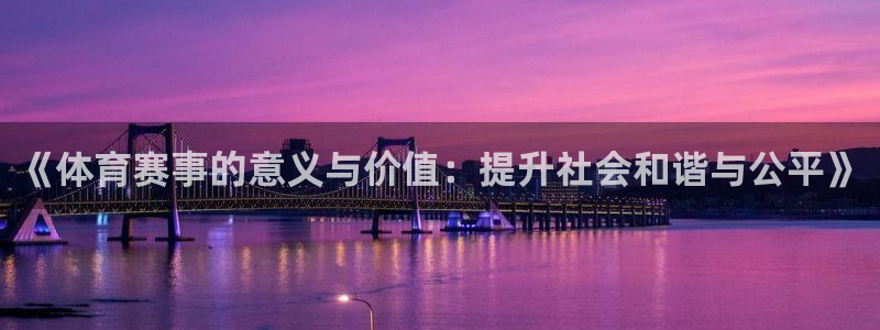 www.杏悦体育.com：《体育赛事的意义与价值：提升社会和谐与公平》