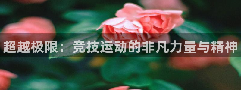 杏悦体育f开户：超越极限：竞技运动的非凡力量与精神