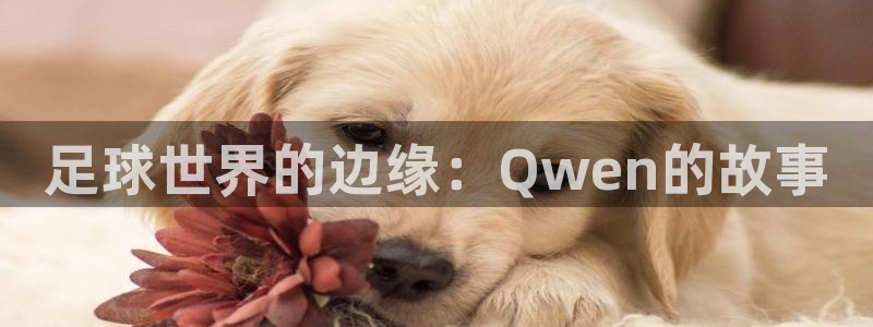 杏悦平台主管：足球世界的边缘：Qwen的故事