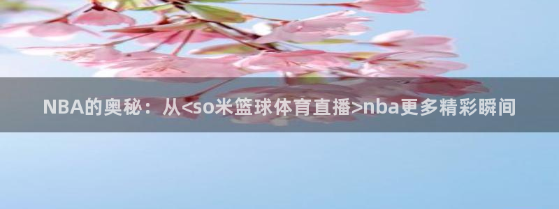 杏悦体育老板是谁：NBA的奥秘：从<so米篮球体育直播>nba更多精彩瞬间