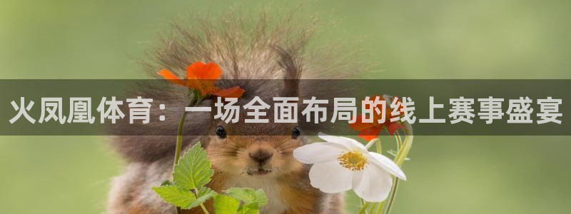 杏悦2平台登录：火凤凰体育：一场全面布局的线上赛事盛宴
