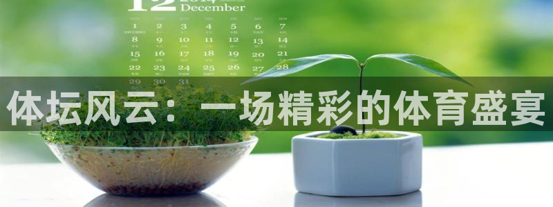 杏悦娱乐登录注册：体坛风云：一场精彩的体育盛宴