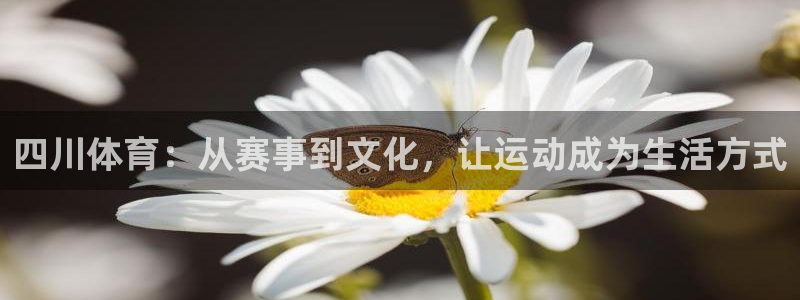 杏悦f凯捷注册：四川体育：从赛事到文化，让运动成为生活方式
